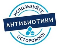 1011ant2.jpg