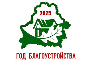 2025- Год благоустройства
