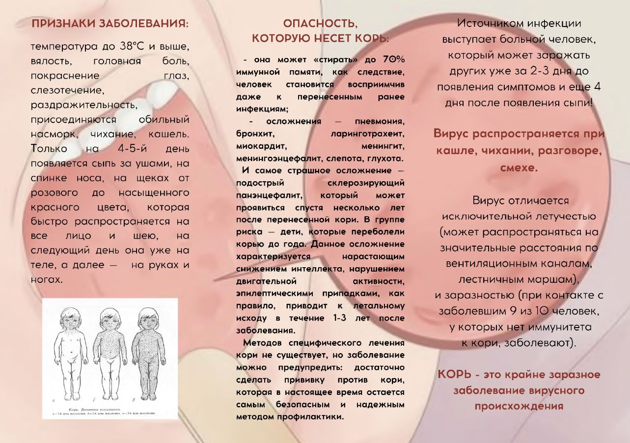 korьь.JPG