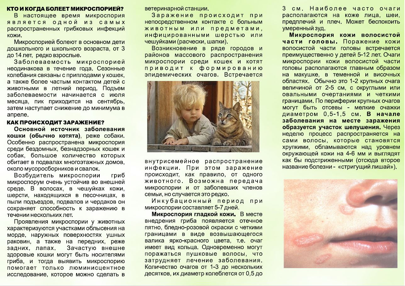 mikrosporiya.JPG