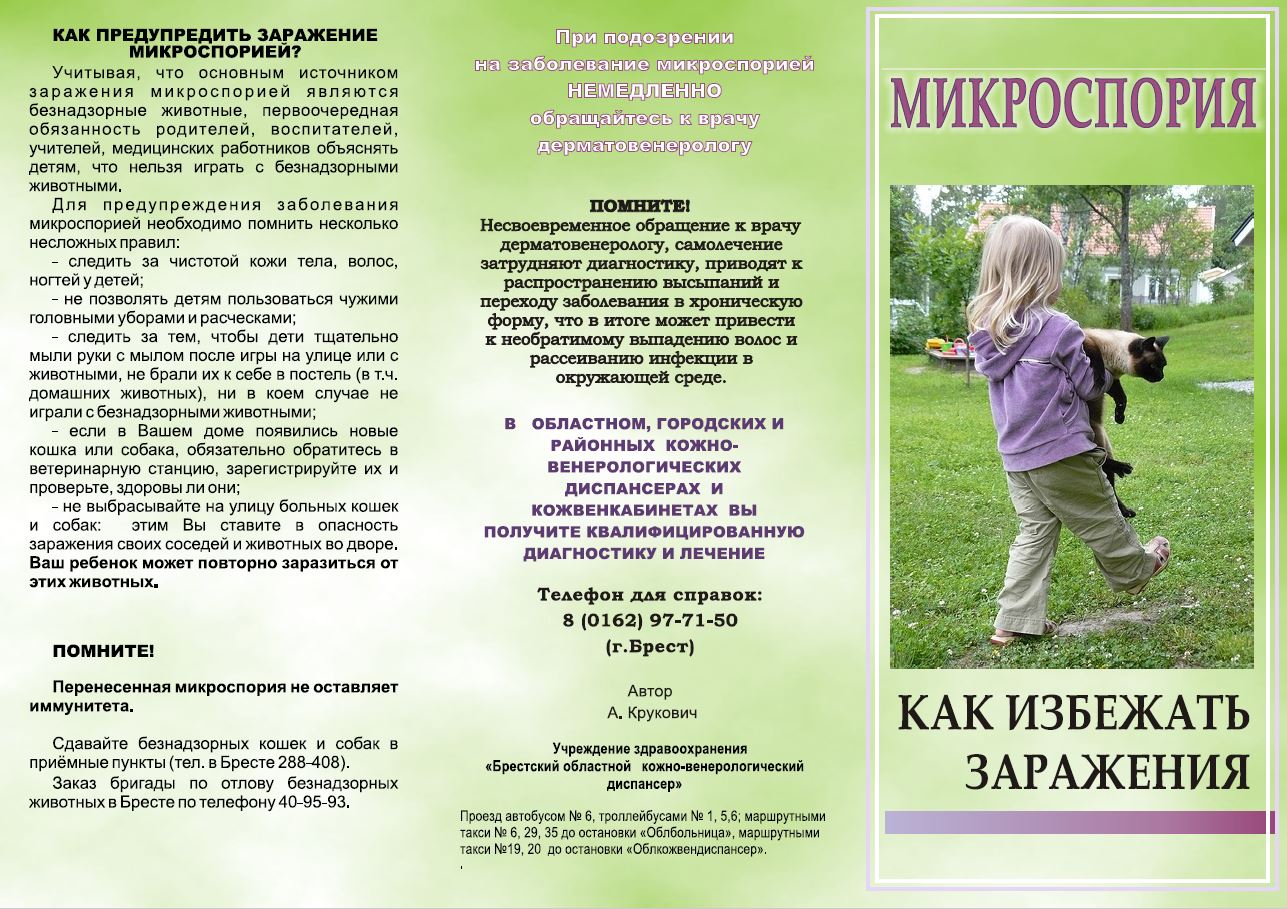 mikrosporiya1.JPG