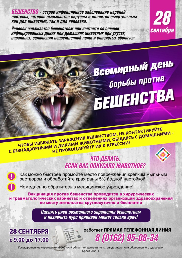 ВД бешенства 2020