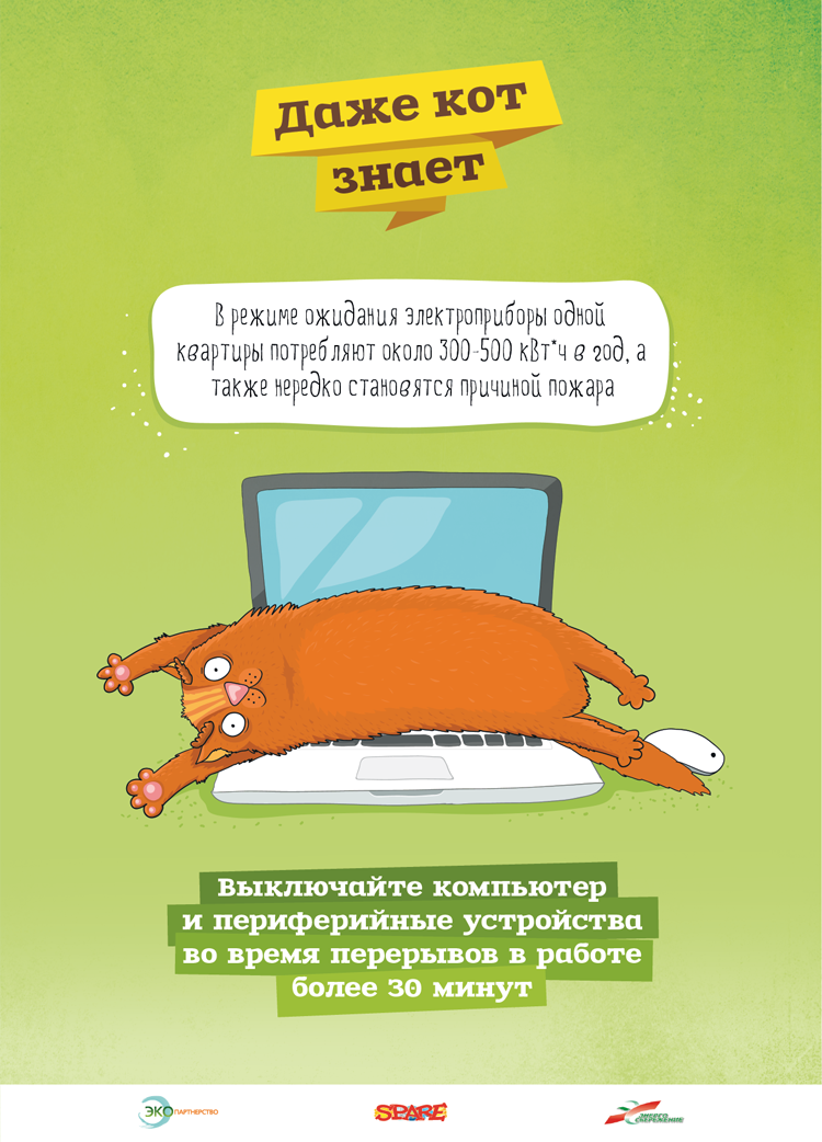 eco cat placards 04