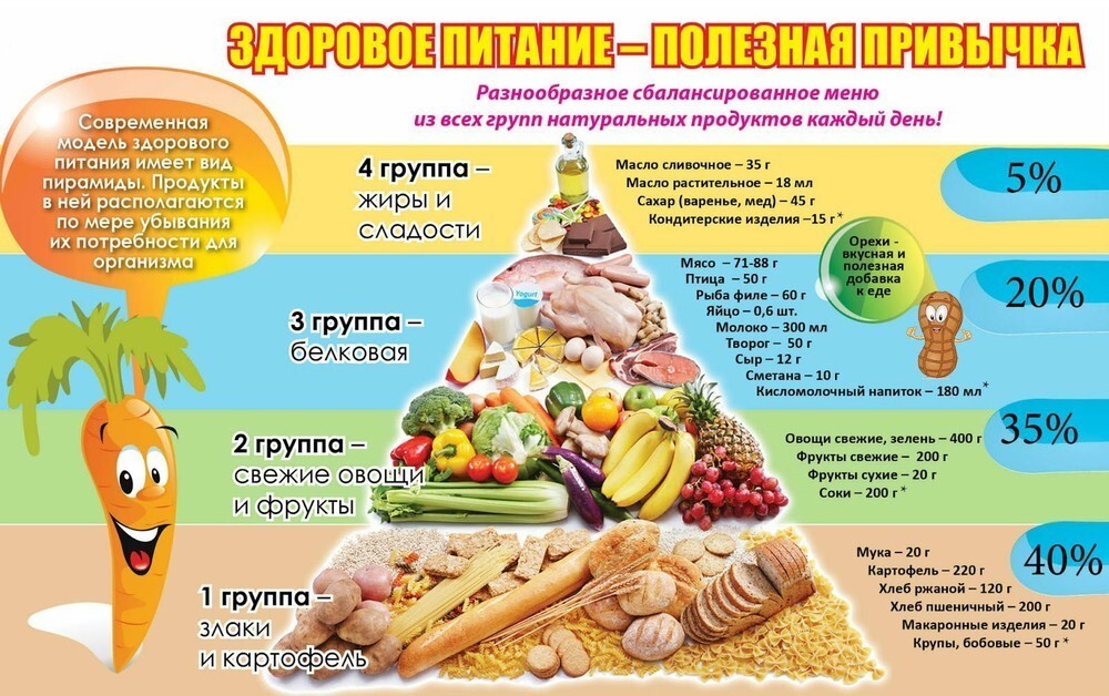 zdorobrzizpitan.jpg