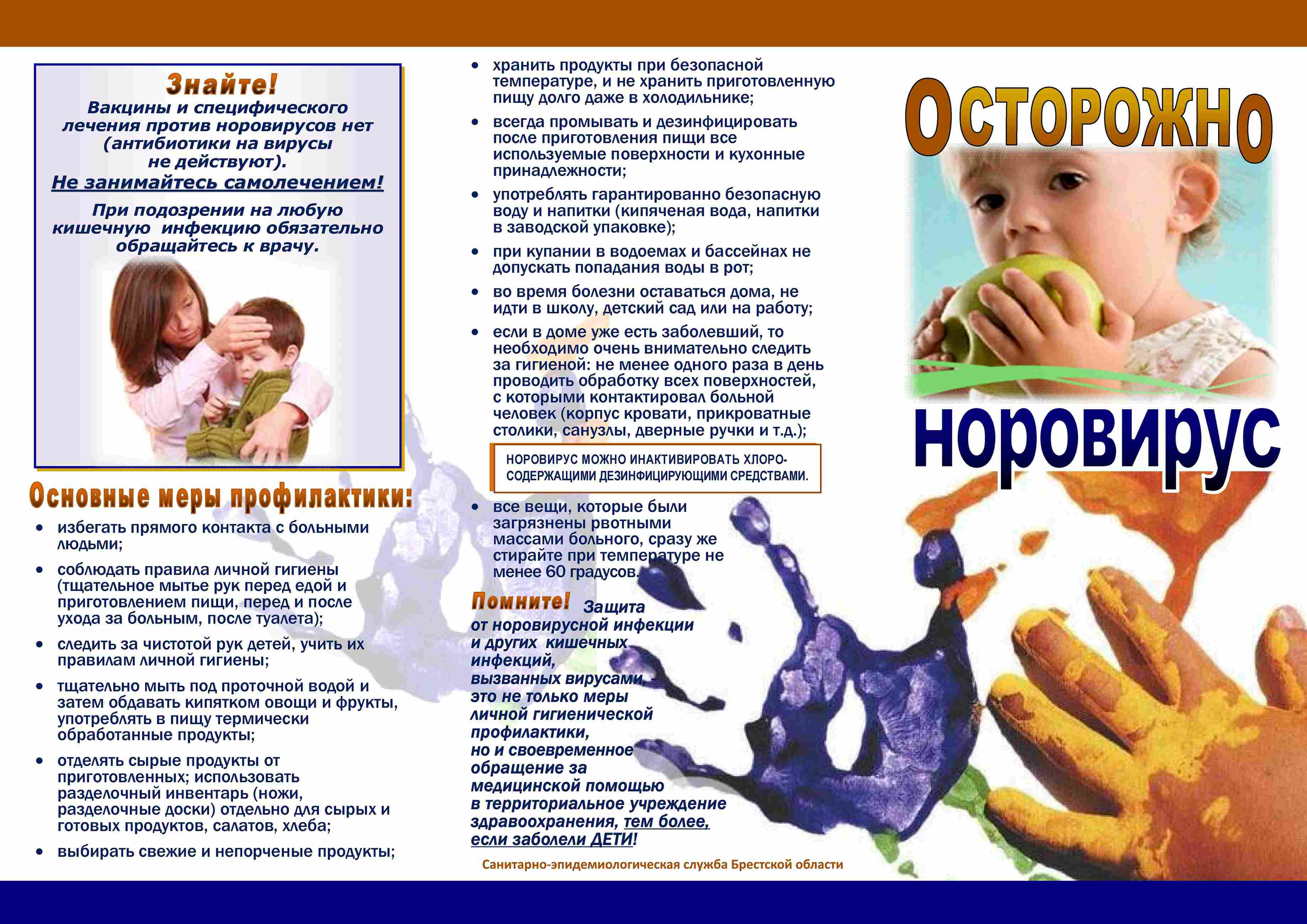 НОРОВИРУСЫ Страница_2.jpg