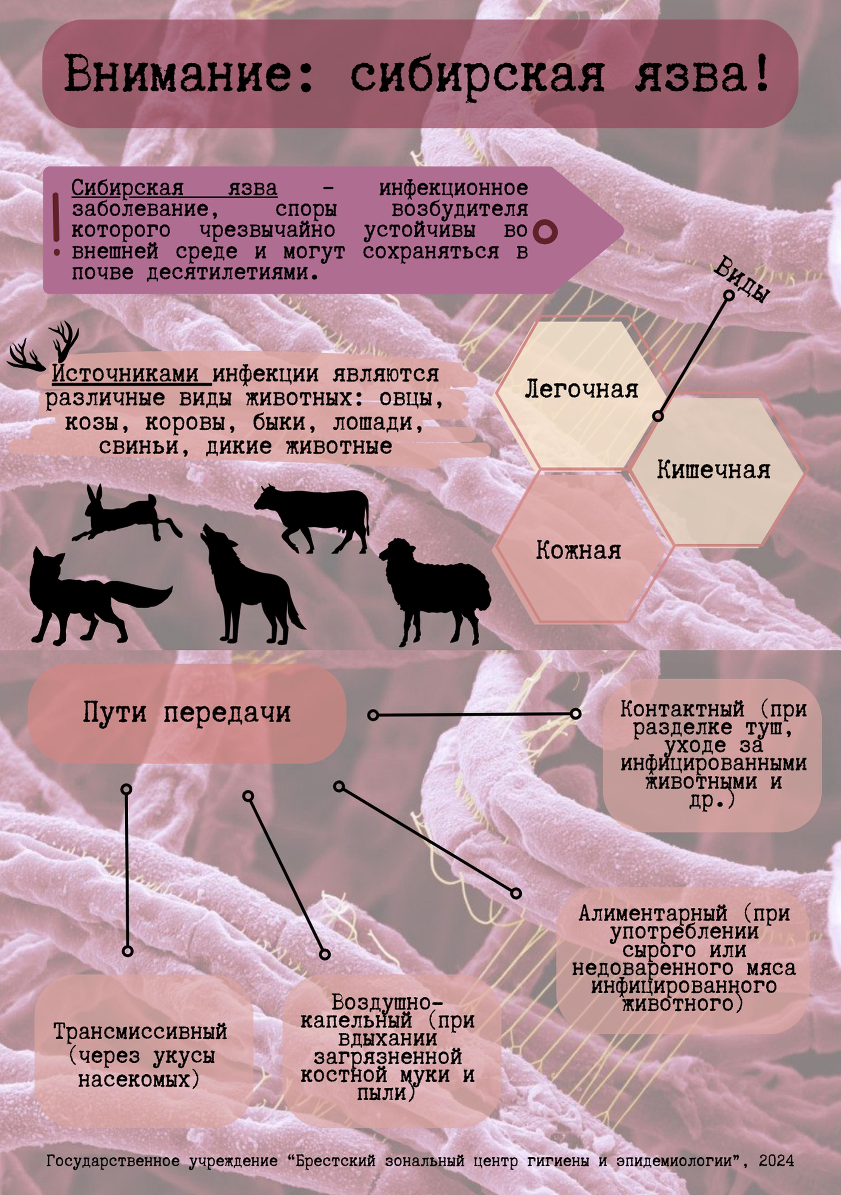 Сибирская язва09 - 0001.jpg