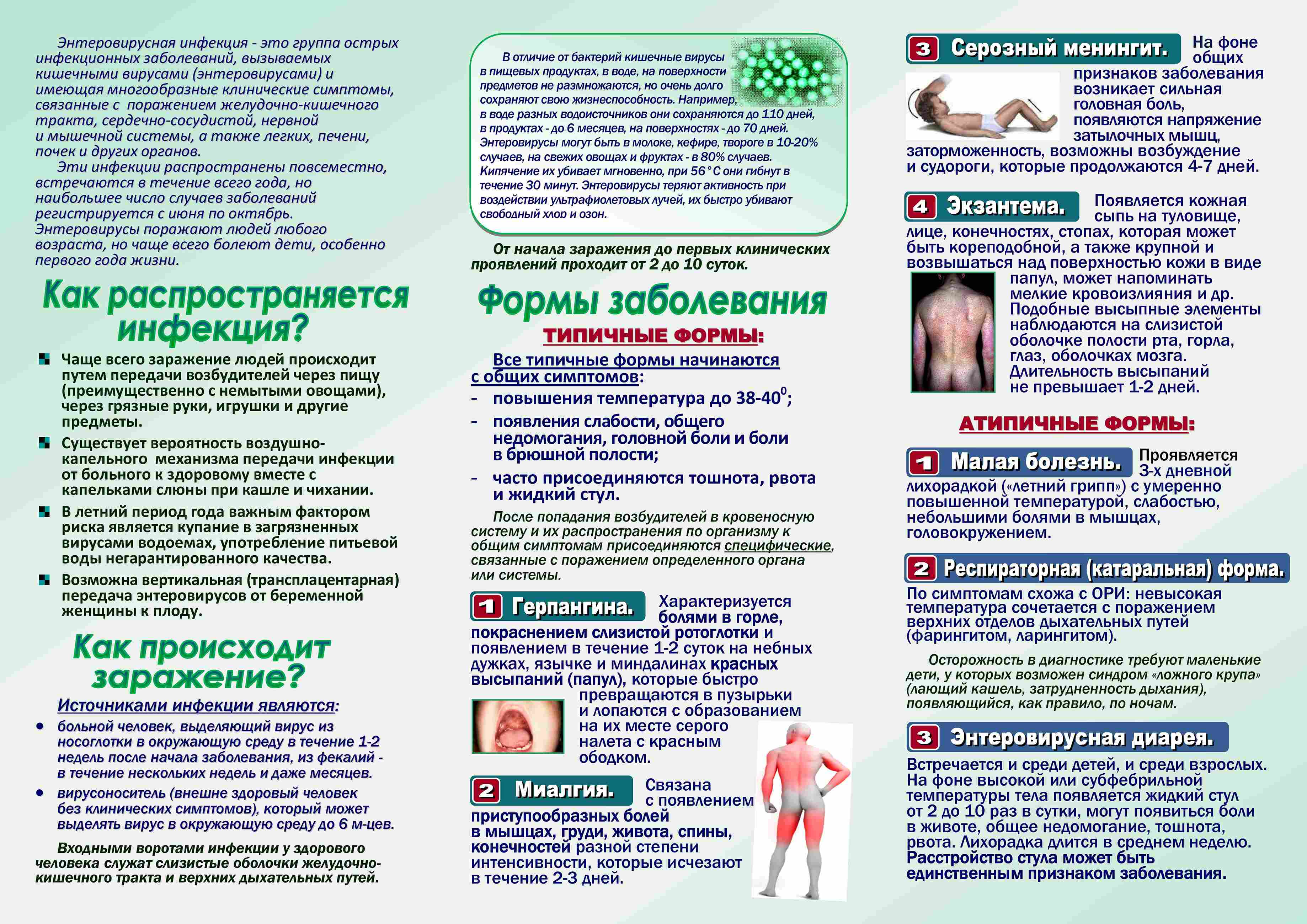 Энтеровирусная инфекция_Страница_1.jpg